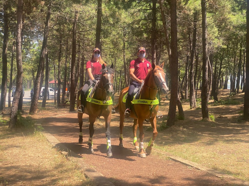 Beykoz'da ormanda denetleme