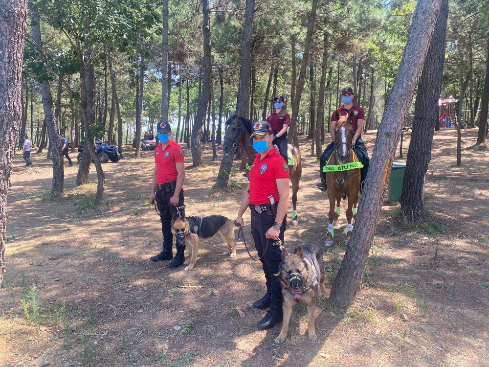 Beykoz'da ormanda denetleme