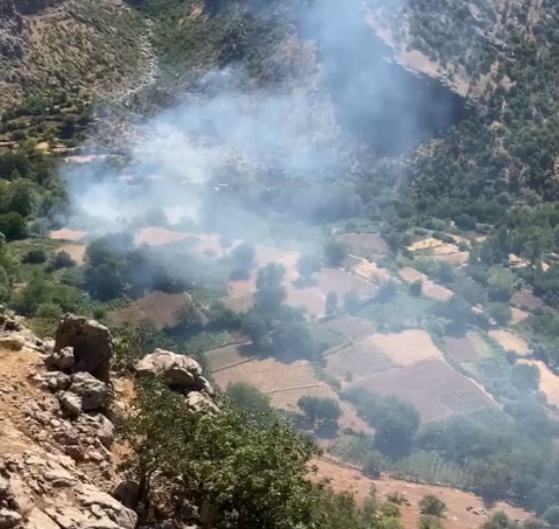 Elazığ'da nedeni belli olmayan  orman yangınına müdehale halktan geldi