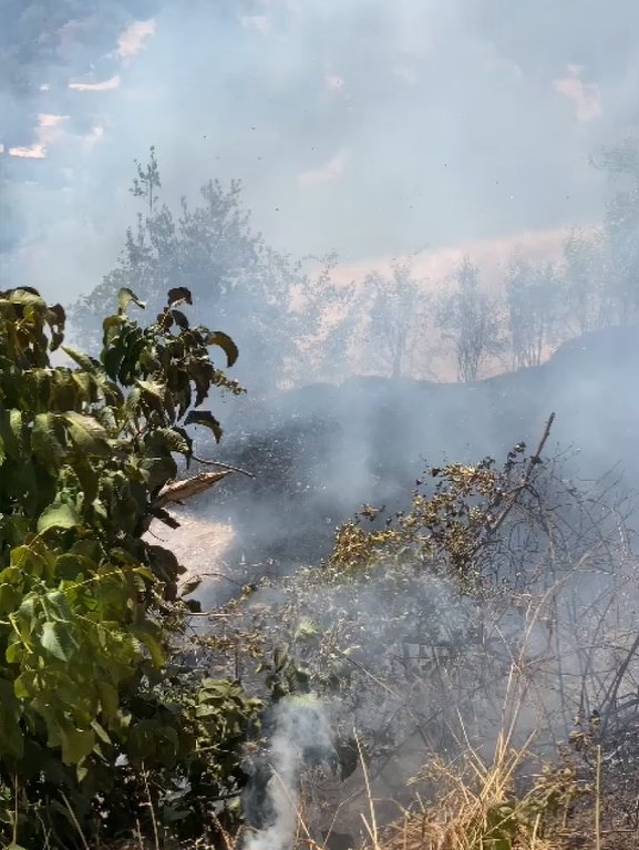 Elazığ'da nedeni belli olmayan  orman yangınına müdehale halktan geldi