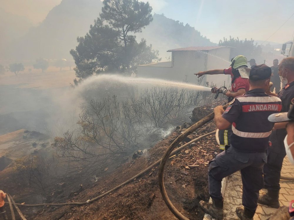 Marmaris'teki yangında 5'inci gün; 35 keçi yanmaktan kurtarıldı