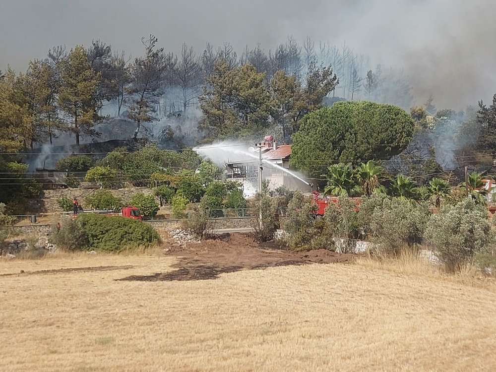 Marmaris'teki yangında 5'inci gün; 35 keçi yanmaktan kurtarıldı