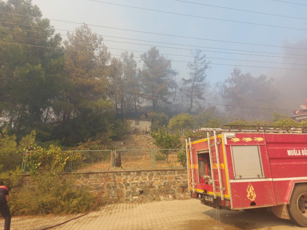 Marmaris'teki yangında 5'inci gün; 35 keçi yanmaktan kurtarıldı