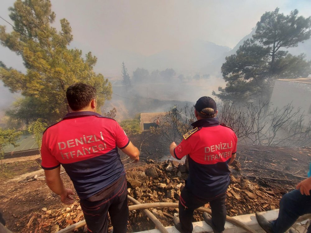 Marmaris'teki yangında 5'inci gün; 35 keçi yanmaktan kurtarıldı