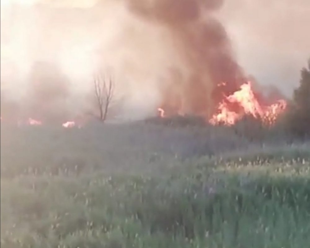 Nallıhan Kuş Cenneti'nde çıkan yangın kontrol altına alındı