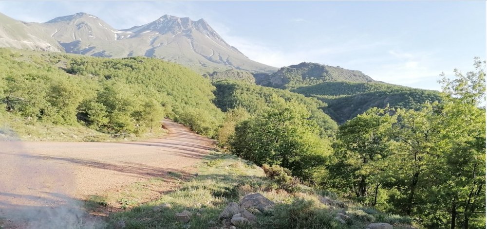 Aksaray’da ormanlara girişler 2 ay yasaklandı
