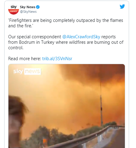 dunya-1.png