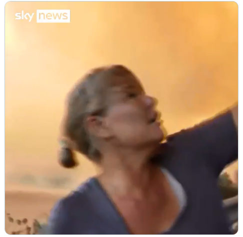 dunya-3.png