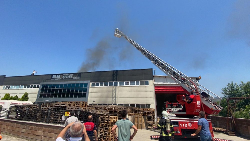 Düzce'de çerez fabrikasında yangın
