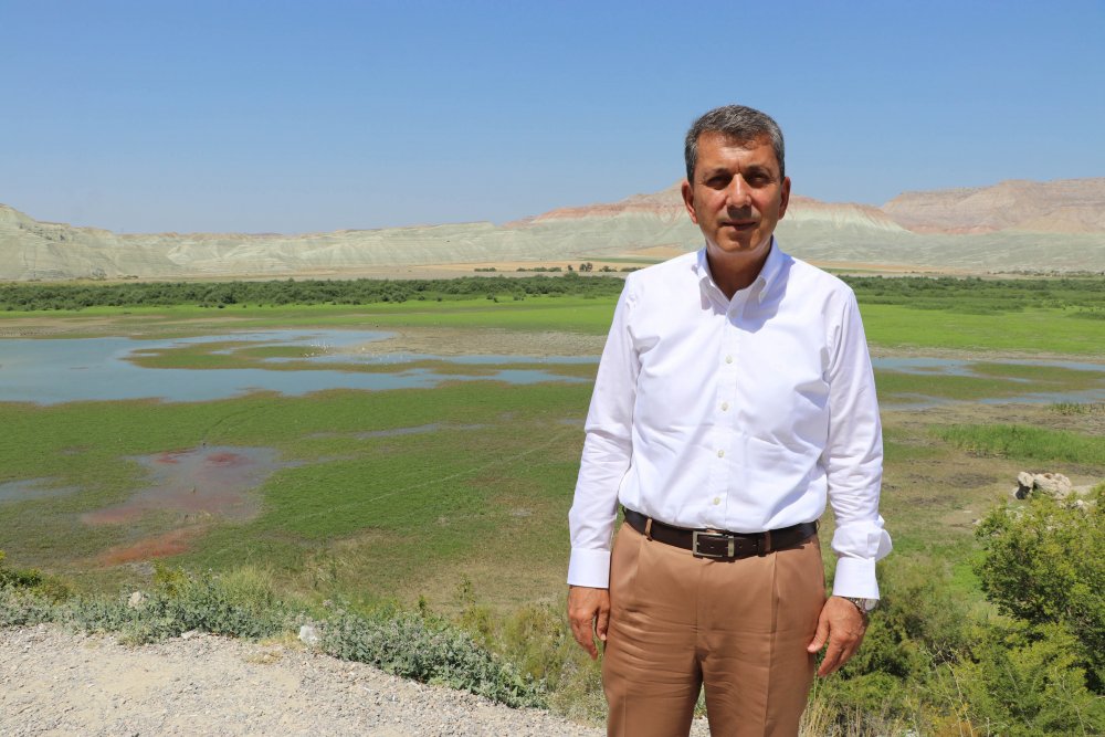 Nallıhan Kuş Cenneti sazlığındaki yangına kuş neden olmuş