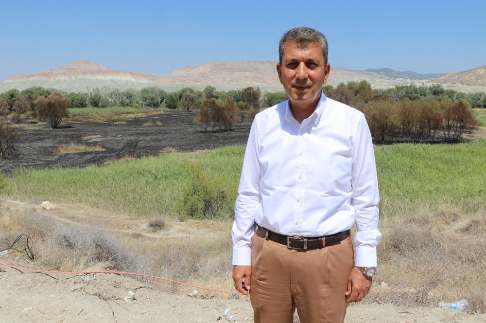 Nallıhan Kuş Cenneti sazlığındaki yangına kuş neden olmuş