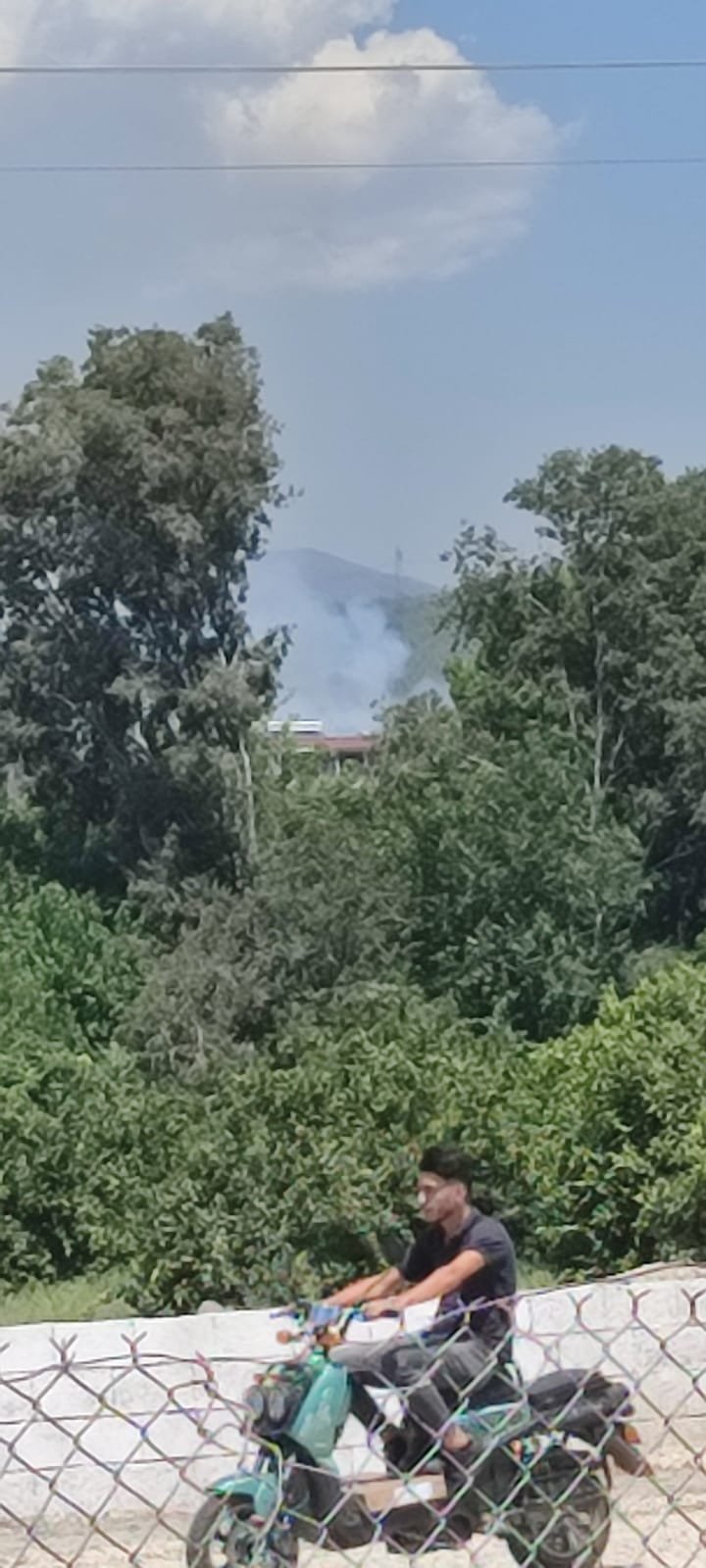 Dörtyol'da orman yangını