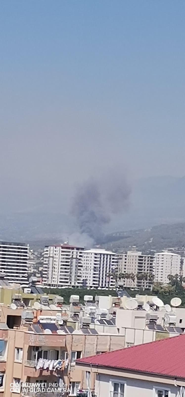 Dörtyol'da orman yangını