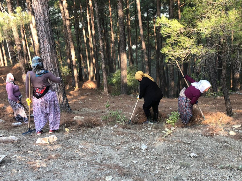 Manavgat'taki büyük yangın