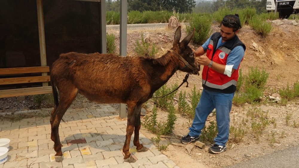 Sekiz gündür cayır cayır yanan Manavgat'a KKTC Cumhurbaşkanı Ersin Tatar ziyareti