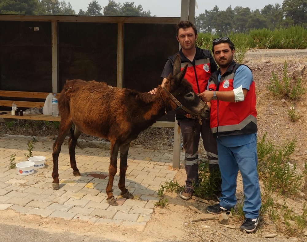 Sekiz gündür cayır cayır yanan Manavgat'a KKTC Cumhurbaşkanı Ersin Tatar ziyareti