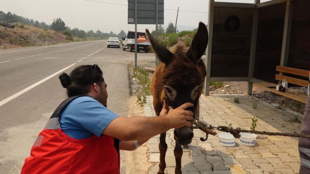 Sekiz gündür cayır cayır yanan Manavgat'a KKTC Cumhurbaşkanı Ersin Tatar ziyareti