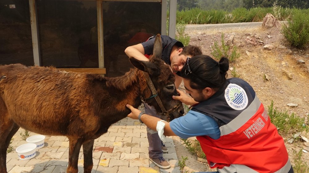Sekiz gündür cayır cayır yanan Manavgat'a KKTC Cumhurbaşkanı Ersin Tatar ziyareti