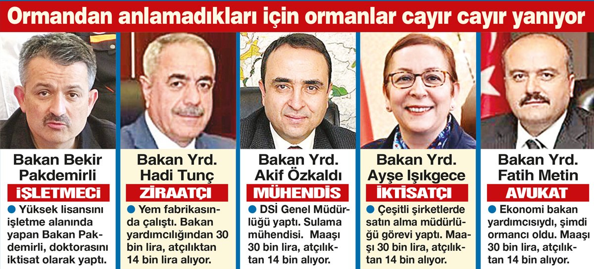 orman-1.jpg