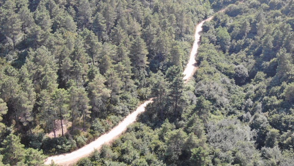 Sultanbeyli ormanlarında denetimler devam ediyor