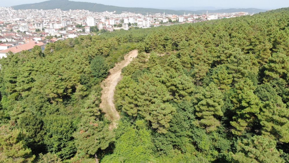 Sultanbeyli ormanlarında denetimler devam ediyor