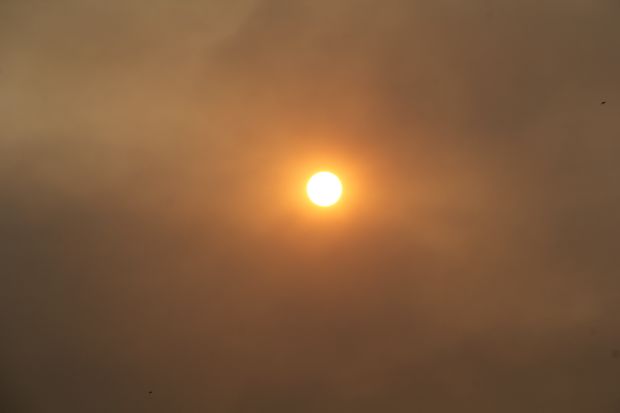 315906-620x413.jpg