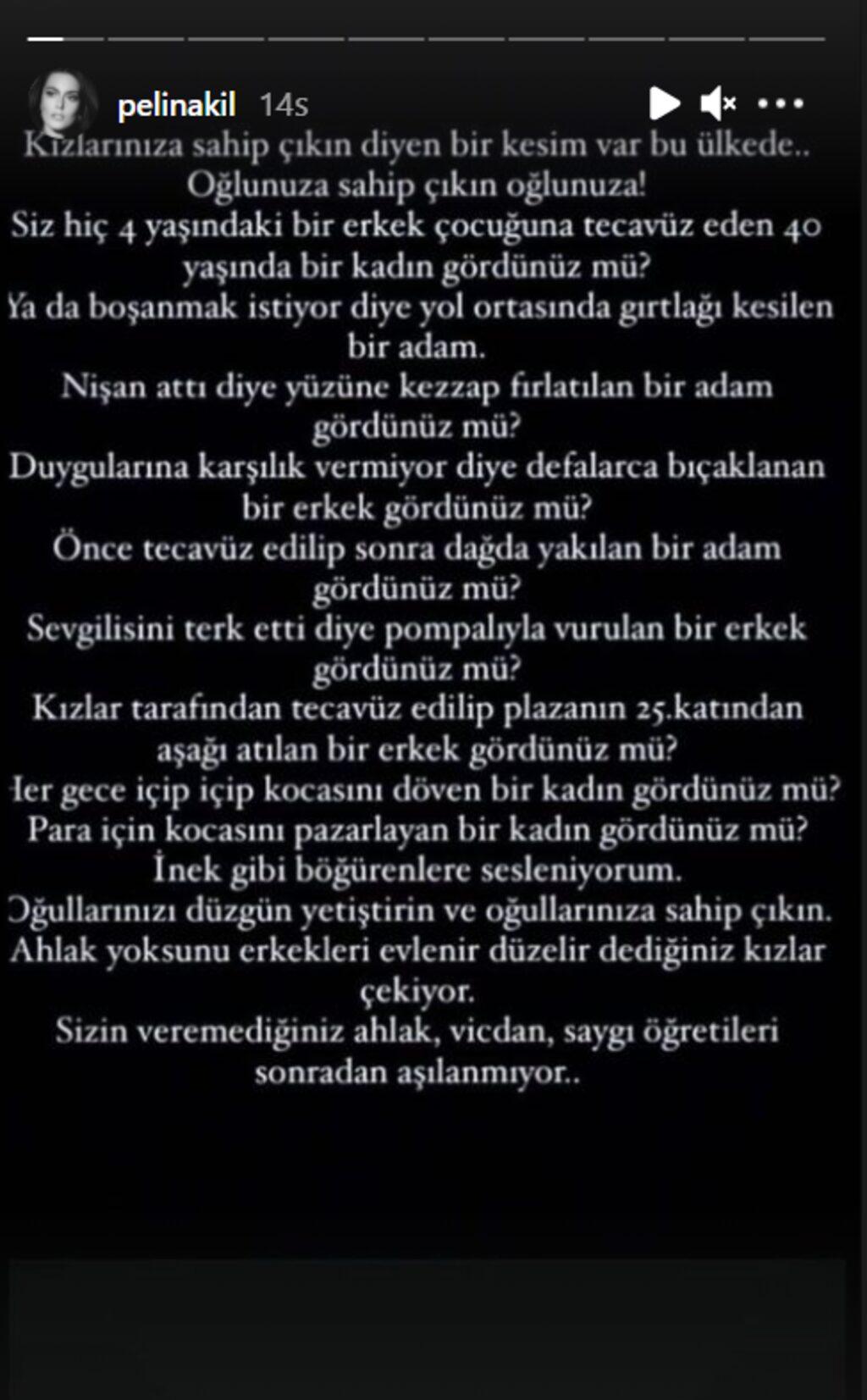 094118735-pelinakil.jpg