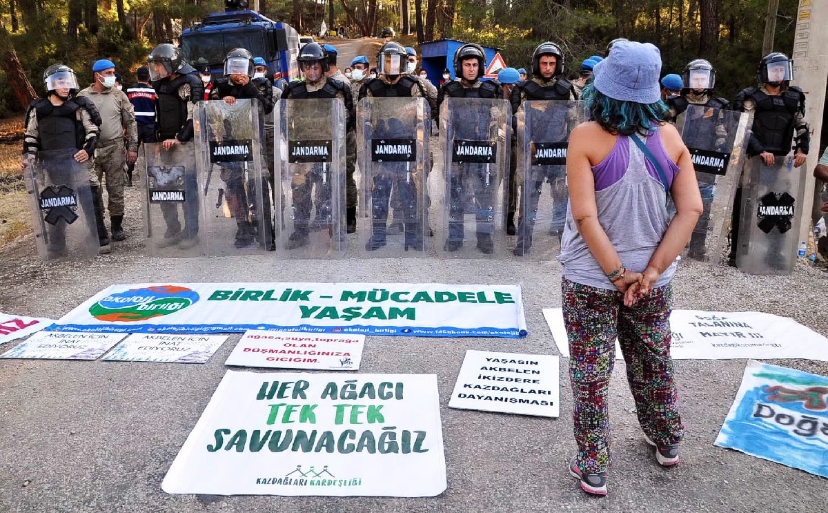 n1.jpg
