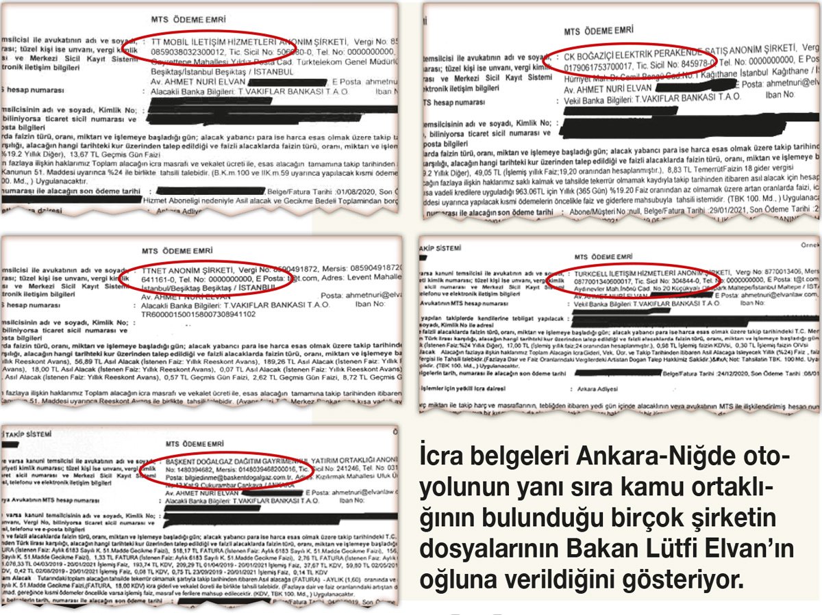 elvan-1.jpg