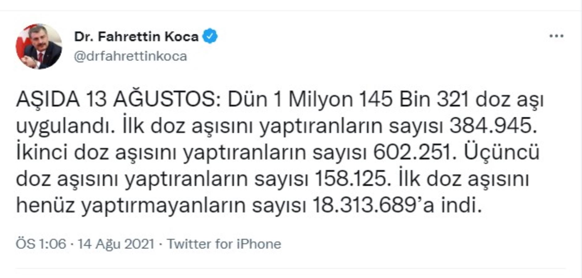 koca-1.jpg