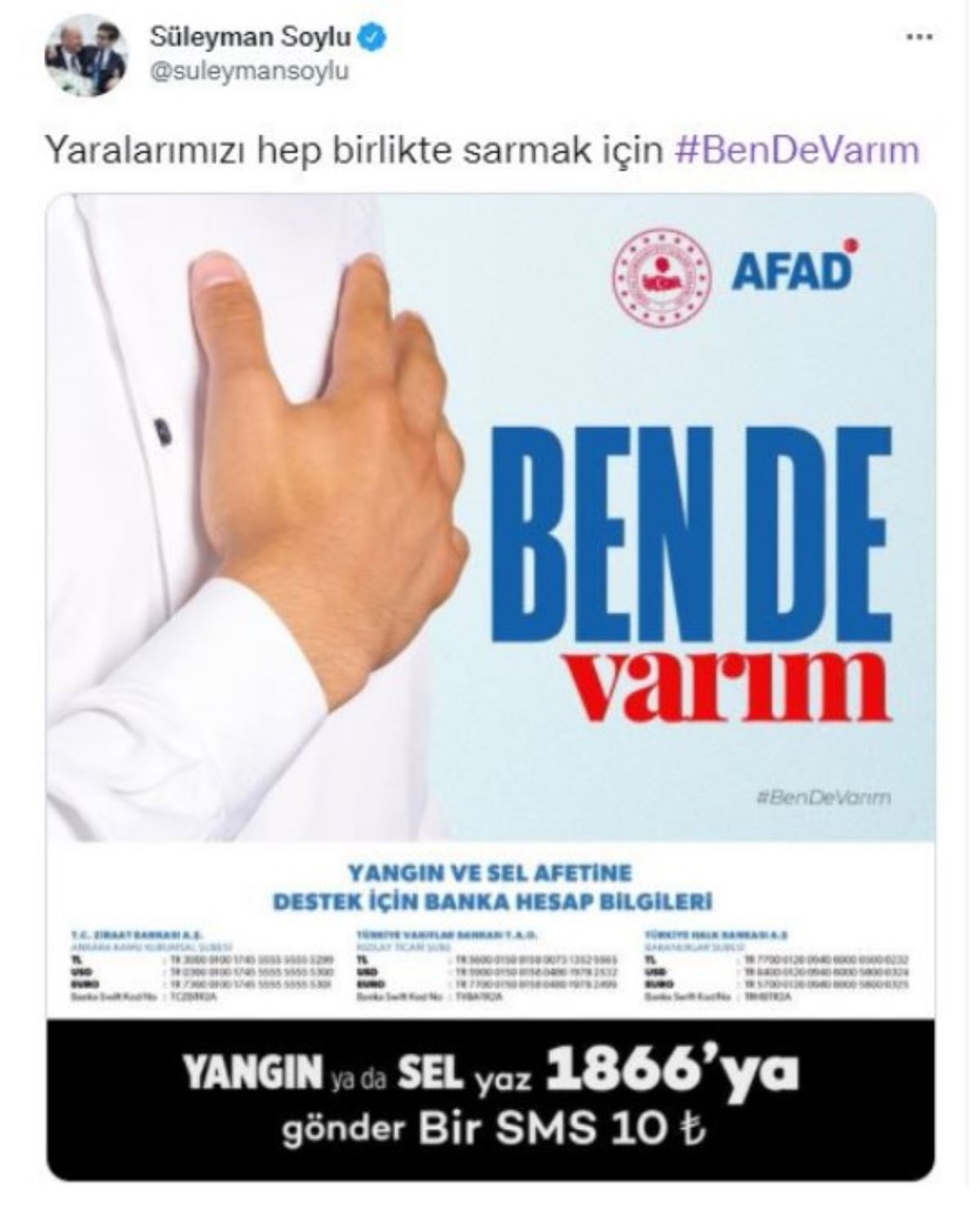soylu.jpg