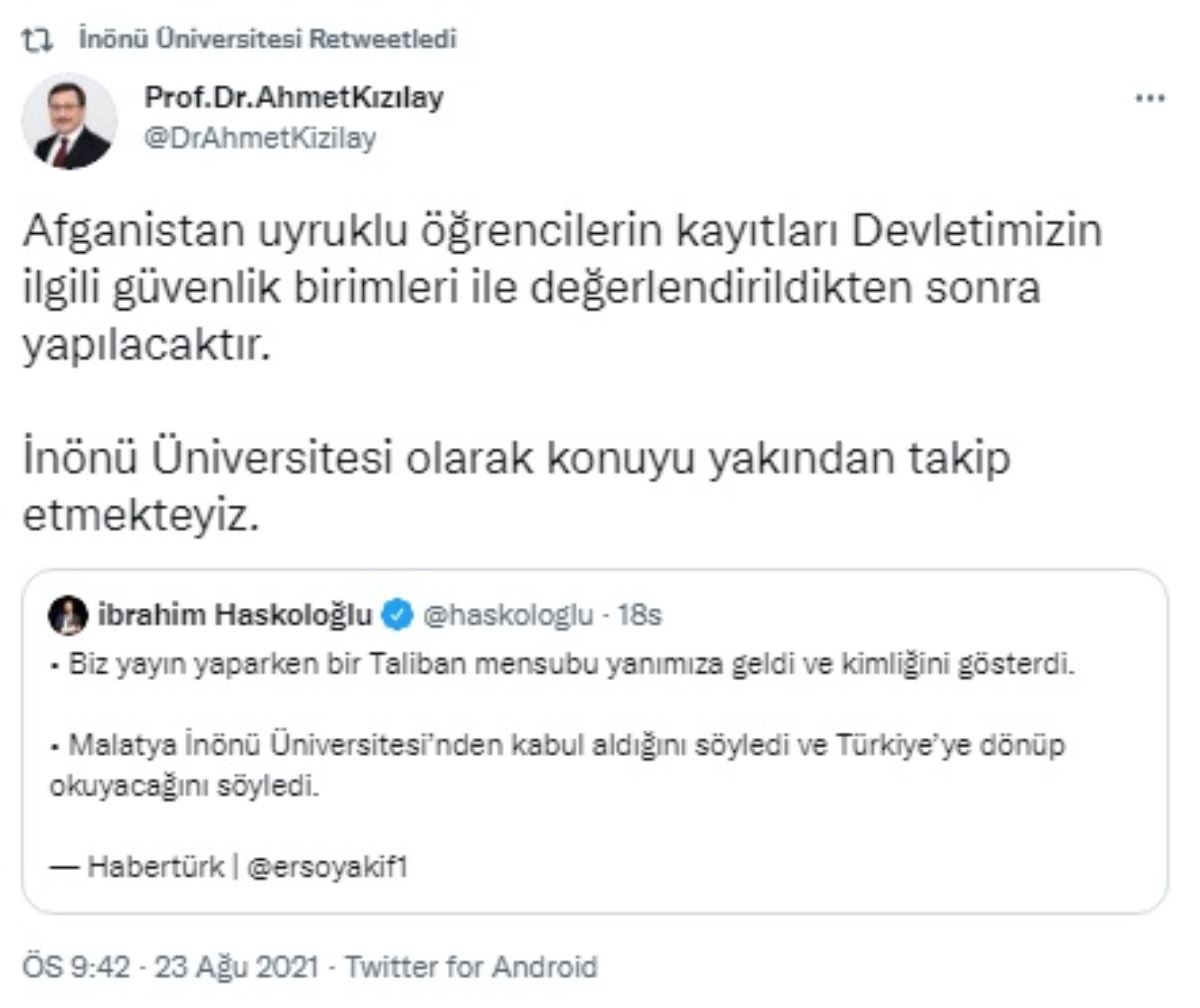 tali-1.jpg