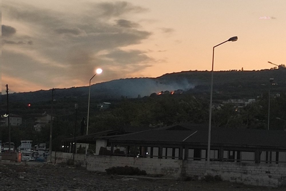 TEKİRDAĞŞARKÖY'DE 200 DEKAR ORMANLIK VE ZEYTİNLİK ALAN YANDI