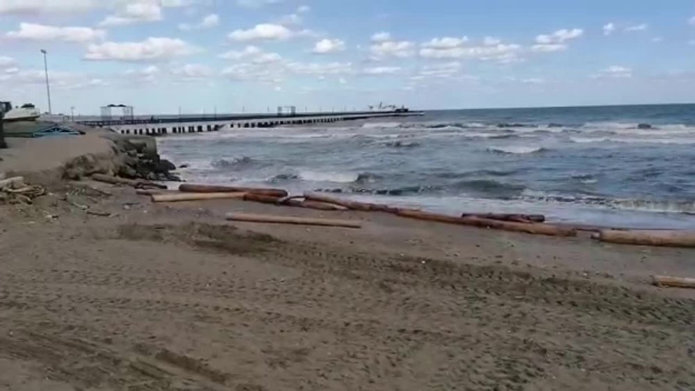 KARADENİZ, TOMRUKLARI ATAKUM SAHİLİ'NE BIRAKTI