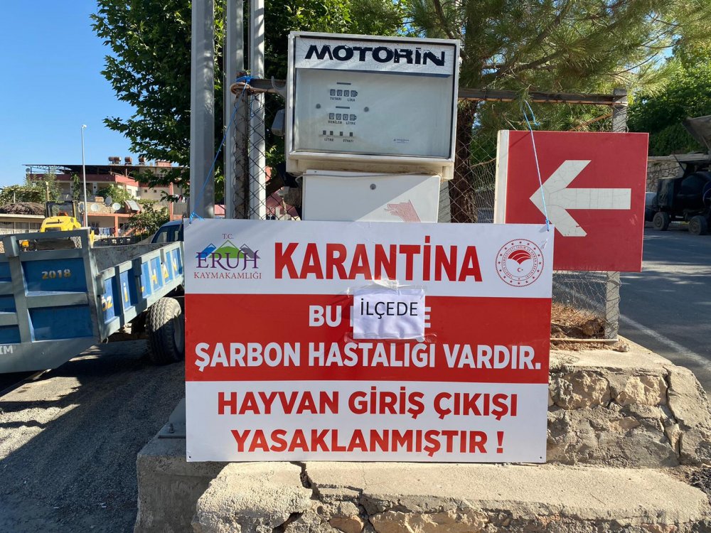 Siirt'in Eruh ilçesinde ŞARBON çıktı, İLÇEYE HAYVAN GİRİŞ ÇIKIŞLARI YASAKLANDI