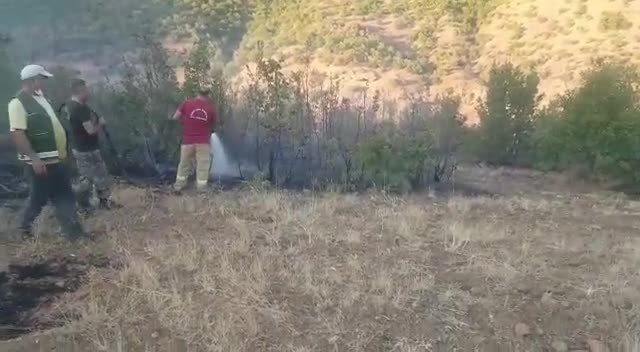 TUNCELİ’DE ORMAN YANGINI