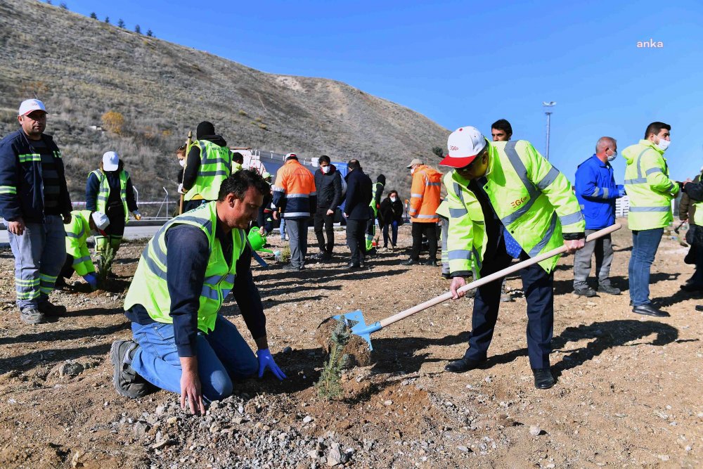 Ankara Büyükşehir Belediyesi  2 BİN 604 FİDANI TOPRAKLA BULUŞTURDU