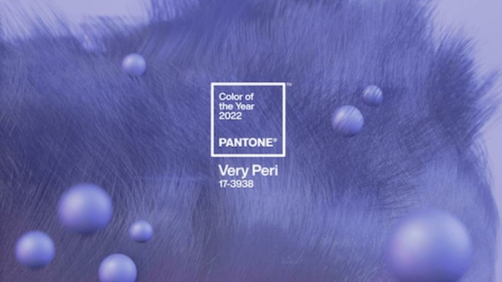 122748317-veryperi-pantone1691639036378-880x495.jpg