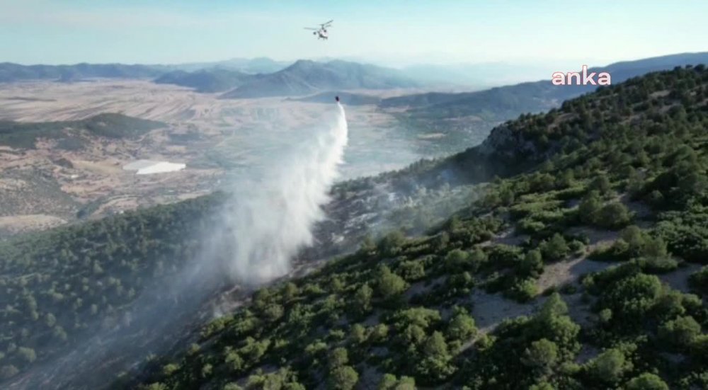 ORMAN GENEL MÜDÜRLÜĞÜ’NÜN RAPORU: YANGIN SAYISI AZALMASINA RAĞMEN YANAN ALAN YAKLAŞIK 6 KAT ARTTI